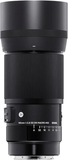 Sigma 105mm F2 8 Dg Dn Macro Art Sony E Mount